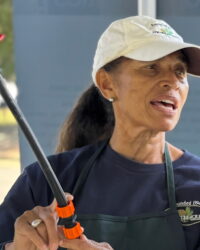 Edna Mills-Williams